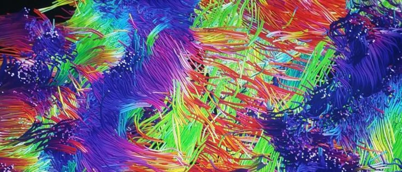 Multicolored art