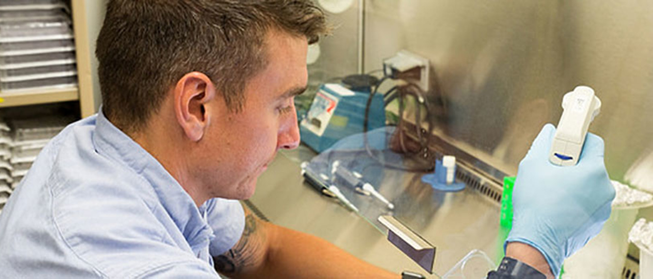 Graduate Phase—Research